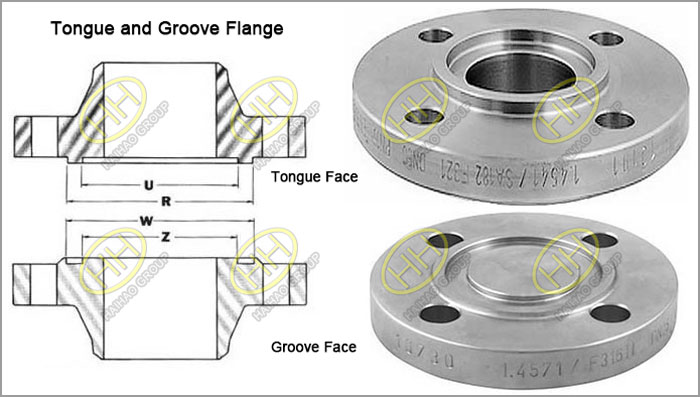 Tongue and Groove Flange